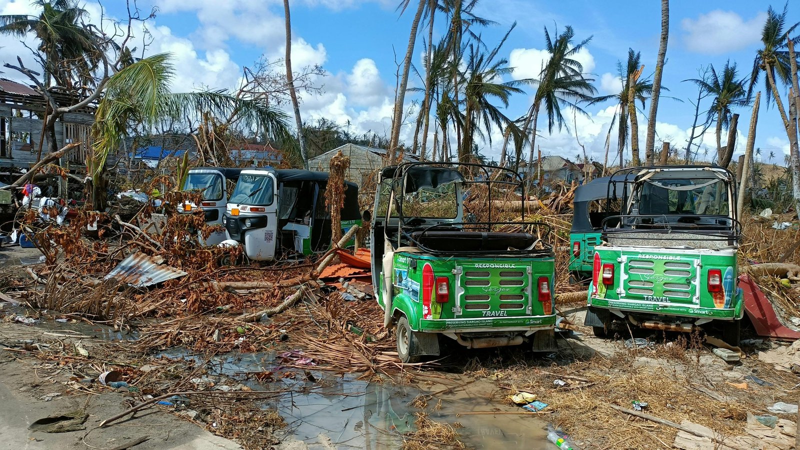 Post-storm scene with damaged vehicles amidst fallen palm trees and debris.