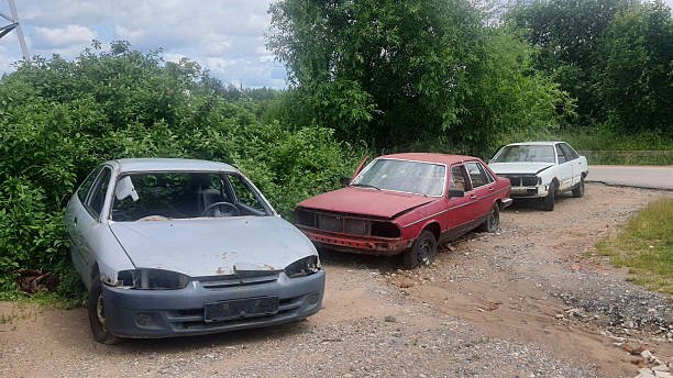 Several vintage cars resting in a yard, highlighting their worn features, likely part of a cash-for-junk car program.