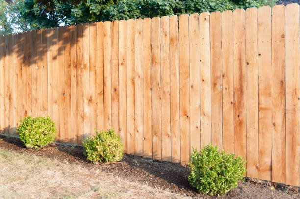 A wooden fence in a backyard with vibrant green grass, representing professional wood fence installation services.