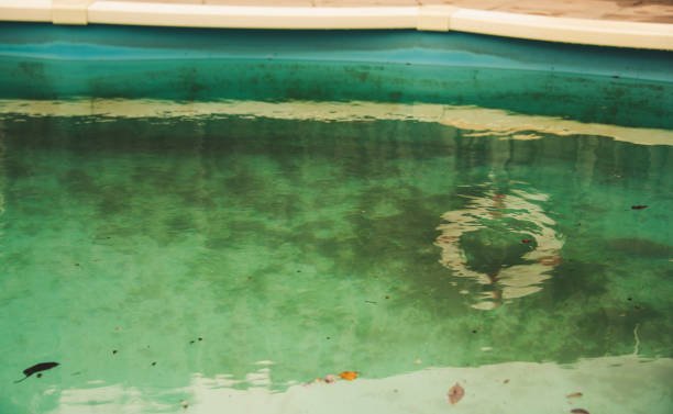 A pool with a green algae-covered bottom, indicating potential water quality issues in Denton, TX.