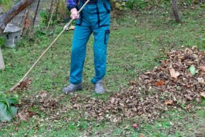 A woman in blue overalls cleans up leaves with a broom, advertising inexpensive yard cleaning services near Mt. Vernon, IN.