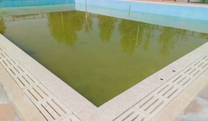 A pool displaying green algae at the bottom, highlighting possible water contamination concerns in Denton, TX.