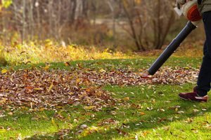 A person operates a leaf blower to clear leaves in a yard near Newburgh, IN, showcasing effective yard maintenance.