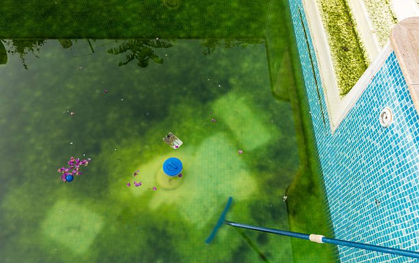 A swimming pool showing green algae accumulation on the bottom, suggesting poor maintenance in Denton, TX.