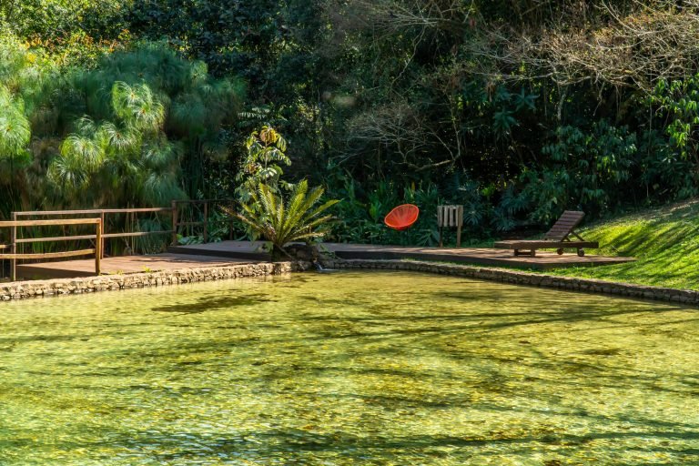 Serene park scene with a calm pond, lush greenery, and a wooden deck, ideal for relaxation.