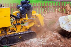 A yellow tree-cutting machine operates in Crystal River, FL, demonstrating professional stump grinding services.