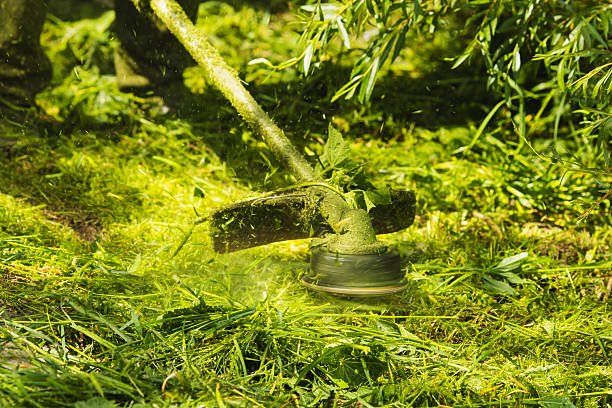 A person operates a lawn mower, trimming grass as part of landscaping and lawn care services.