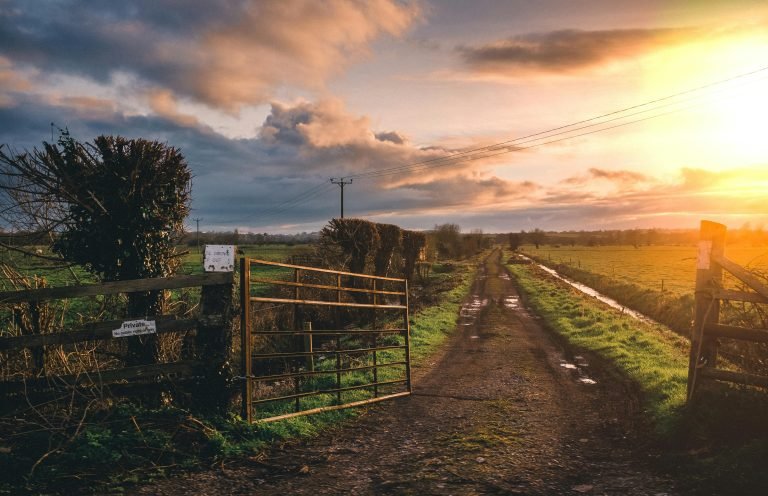 Peaceful rural landscape with open gate and sunset sky, highlighting a dirt path through farmland.