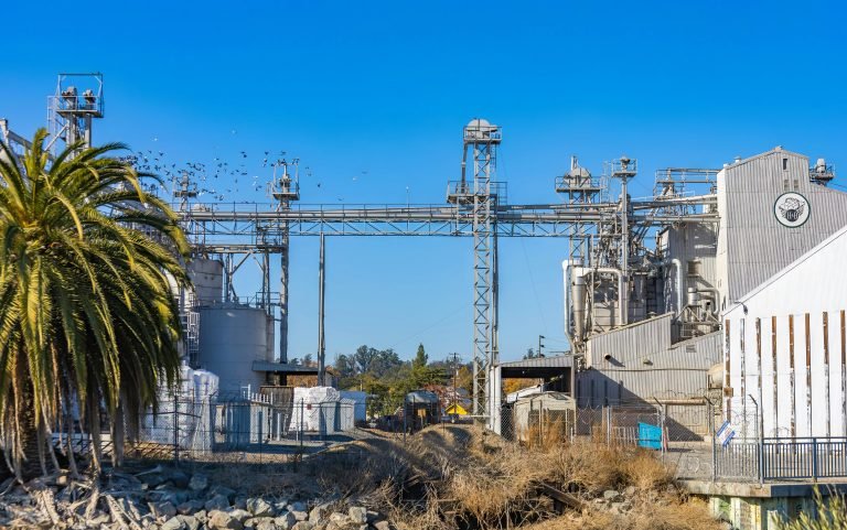 Industrial facility with silos and palm tree, surrounded by a clear blue sky.