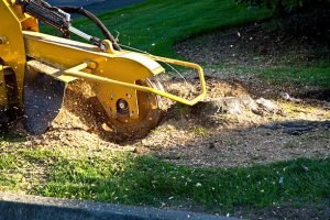 A man operates a machine to cut wood, showcasing professional stump grinding services in Homosassa, FL.