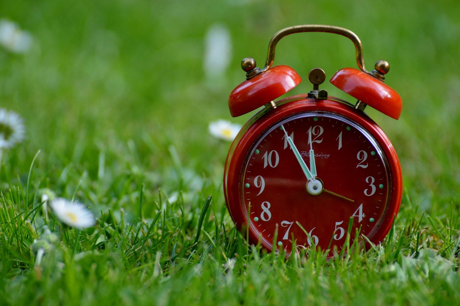 Red vintage alarm clock on lush green grass, symbolizing time and nature.