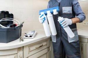 Best Local House Water Filtration Services In Winter Haven FL