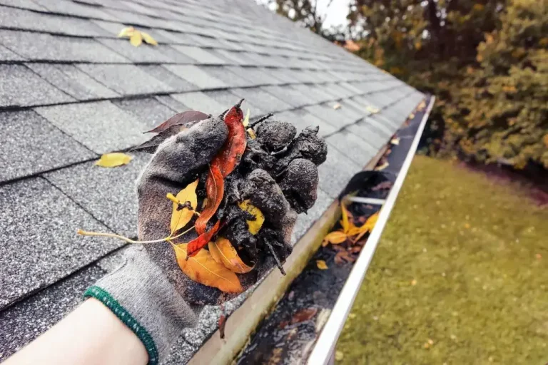 Best Gutter Cleaning Services